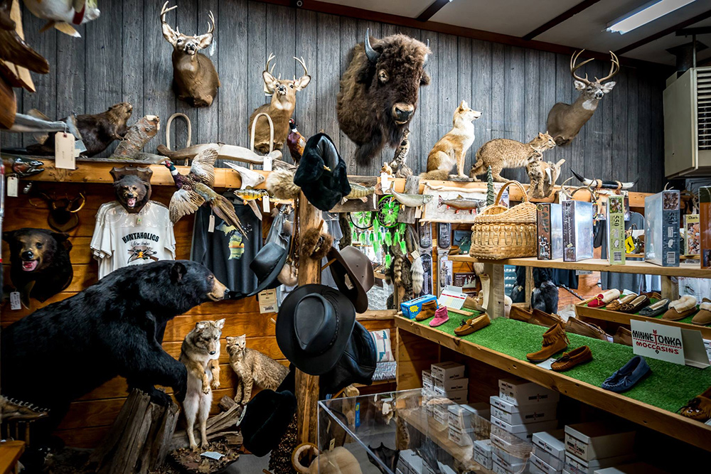 http://www.northernmichigantaxidermy.com/media/uploads/gift-shop/giftstore1.jpg